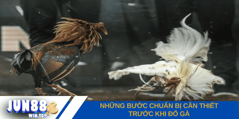Kinh nghiệm đổ gà đá - Bí kíp tạo nên chiến binh bất bại 2 kinh nghiem do ga da bat bai tu cac chuyen gia jun88