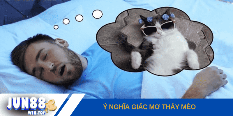 Mơ thấy mèo - Điềm báo lành hay dữ cho cuộc sống? 2 mo thay meo gan lien voi nhung dieu bi an trong cuoc song cua nguoi mo
