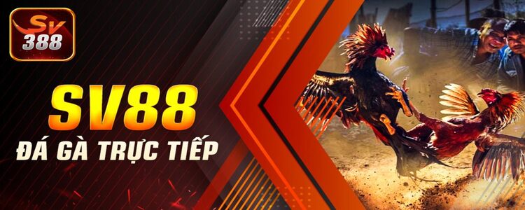 Top 5 trang đá gà mạng uy tín nhất Việt Nam 2024 3 sv388 la trang da ga mang uy tin thu hut dong dao nguoi choi